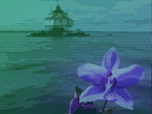 orchid illustration