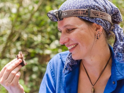 Postdoctoral Fellow at the Smithsonian Tropical Research Institute in Panama holding a small bat.