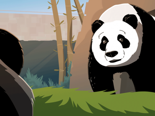 Illustration of a white and black giant panda.
