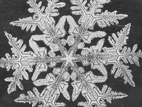 photograph of snowflake crystal