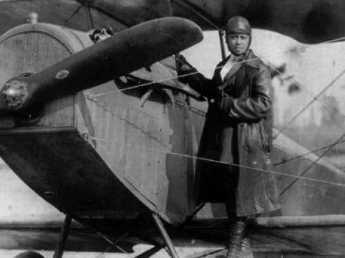 Bessie on airplane