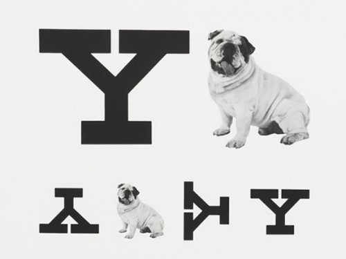 Eye chart with dog