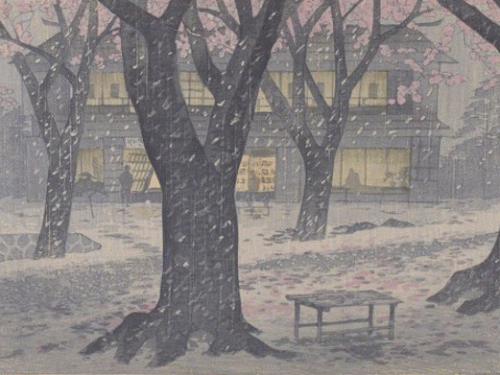 Cherry blossom snow