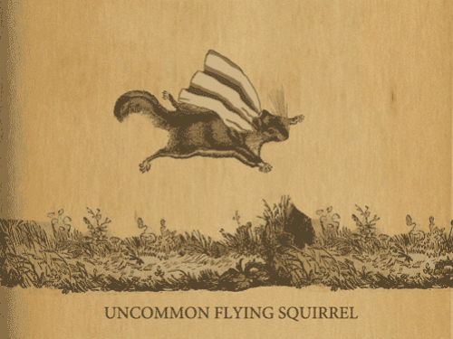 animation of squirrel wearing a cape