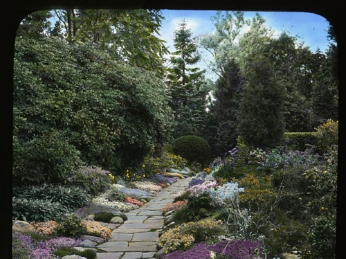 American Garden Glass Lantern Slide, c. 1930