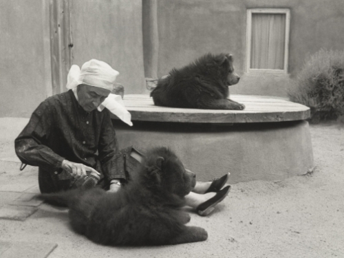 Georgia O'Keefe grooming her dogs