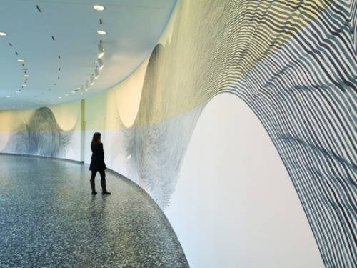 Our View From Here installation