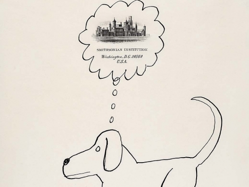 Steinberg Dog