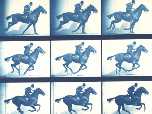 Muybridge Horse Gait