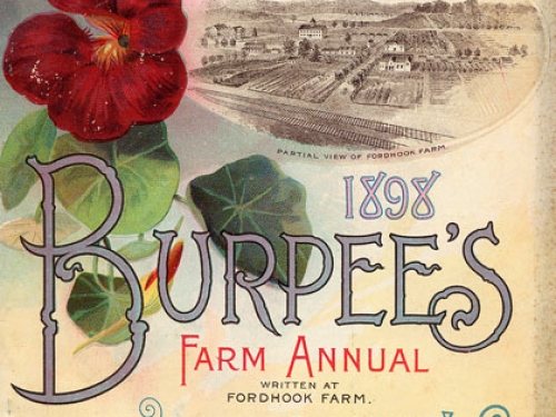 W. Atlee Burpee & Company Seed Co., 1898
