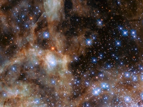 White and red stars dot a black and brown sky. 