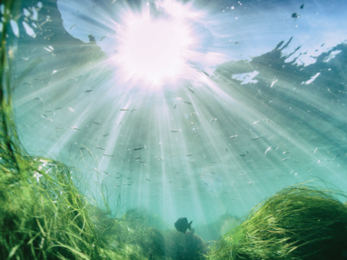 view of sun from under the ocean surface