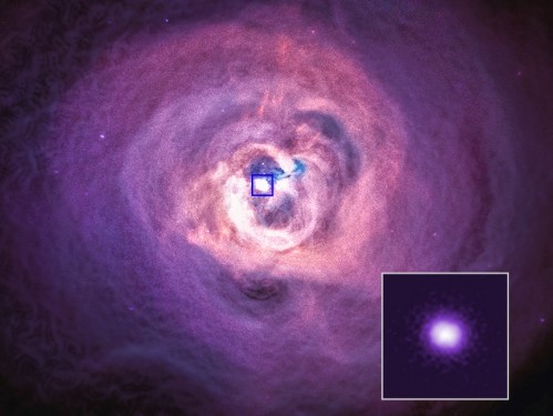 Xray image.