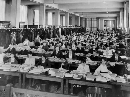 Bureau of War Risk Employees Working in the U.S. National Museum, 1918