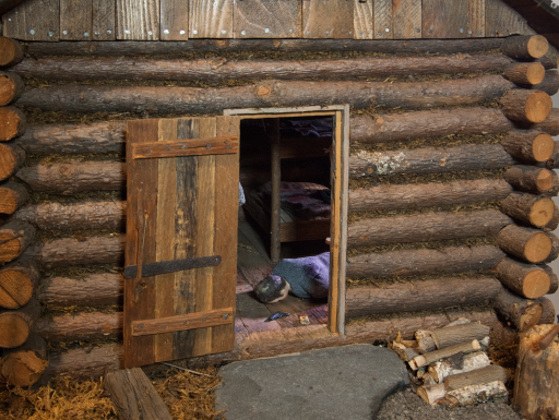 Nutshell Studies - cabin