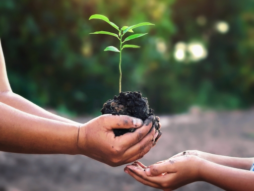 Two sets of hands reaching out with one that holds a plant seedling in soil.