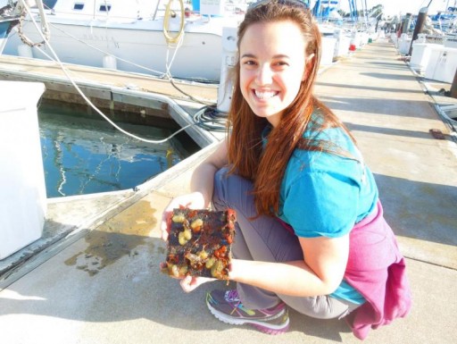 A kneeling woman holds a plate covered in marine invertebrates.