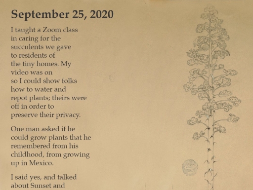 brown aged paper with typed poem on the left and sketch of a slender plant on the right