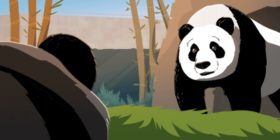 giant panda illustration