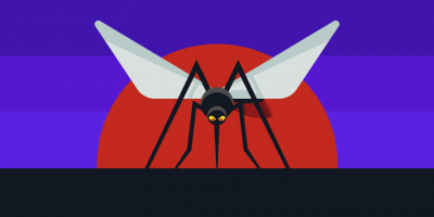 mosquito