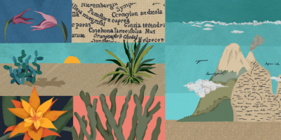 collage of natural scenes.