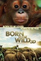 Born to Be Wild
