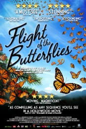 Flight of the Butterflies Poster