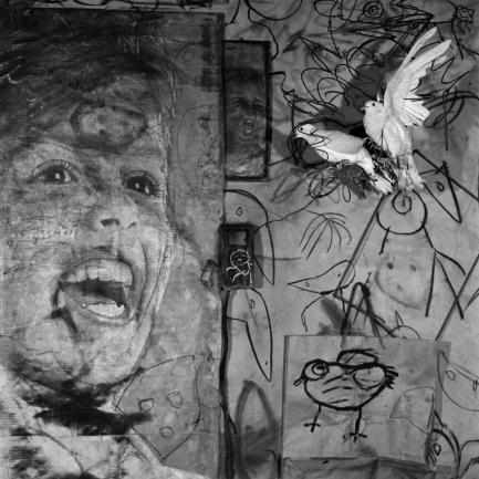 Roger Ballen - Banner