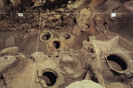 Ancient winery