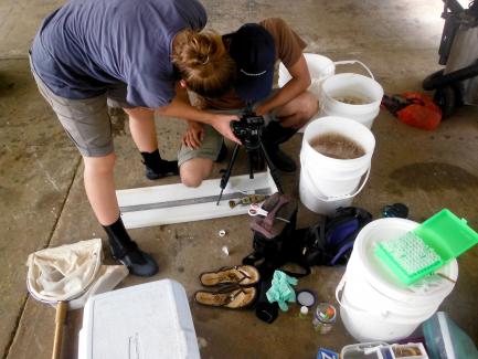 Researchers with collection buckets