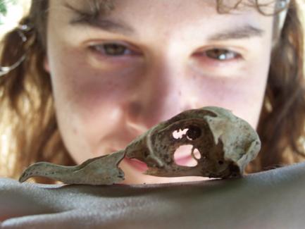 Anne Wiley observing Petrel Skull
