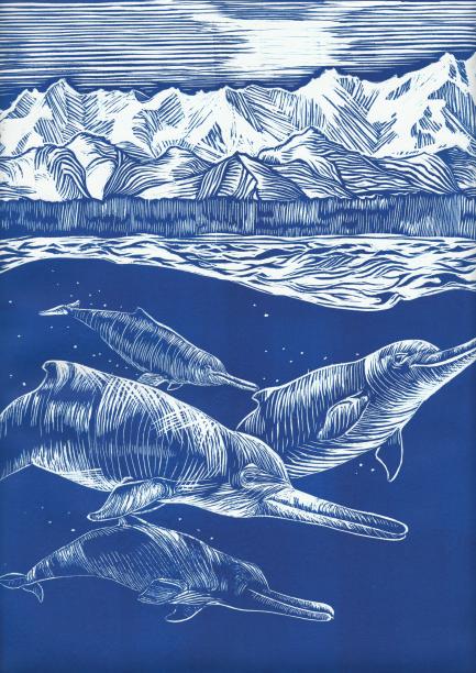 Artist's linotype of dolphins