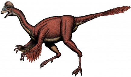 Artist's rendering of Anzu wyliei