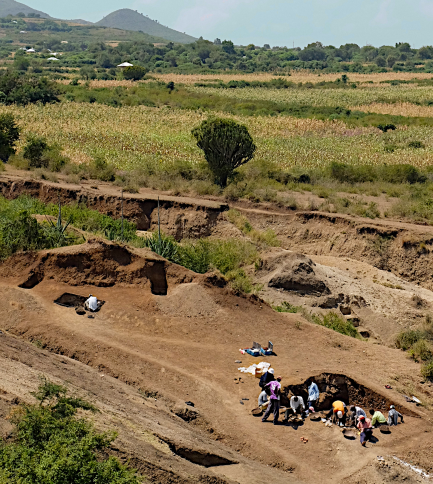 Expansive plains with a group of 10 people excavating large dirt holes