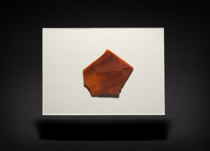 White background photo with brown organic matter in hexagonal shape