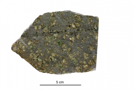 Image of a rock with grayish color and textured surface with irregular mossy green circles.