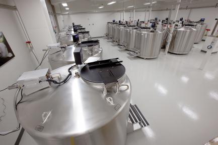 Stainless Steel Biorepository Tanks