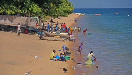 Lake malawi