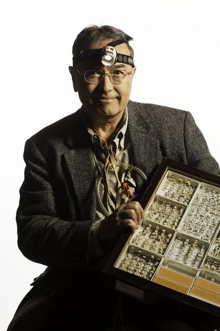 Curator wearing miner's light holding box of specimens