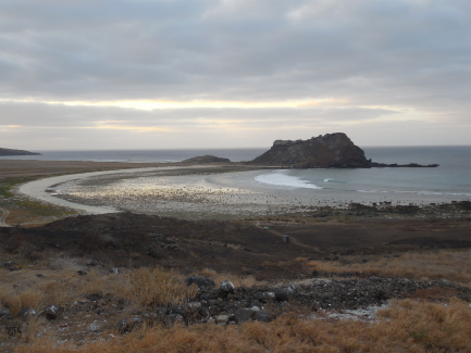 Clarion Island