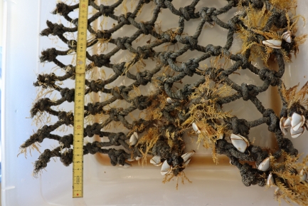 Close up of debris