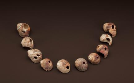Shell beads