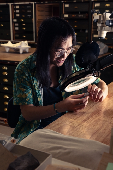 A man with glasses looks through lit microscope at fossilized skull.