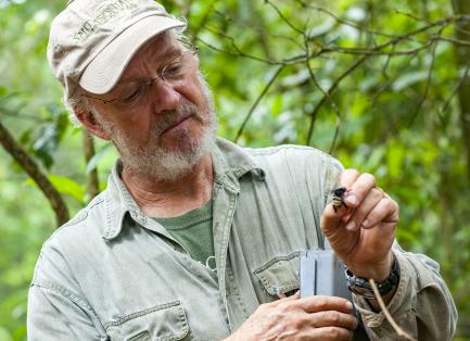 Scientists David Roubik