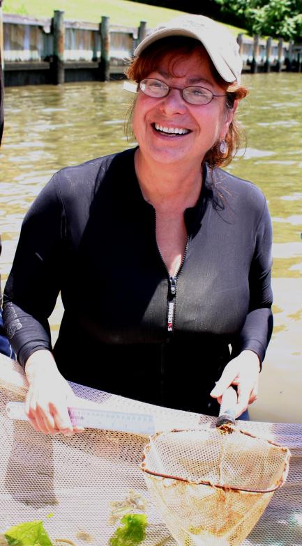 Photo of scientist Denise Breitburg
