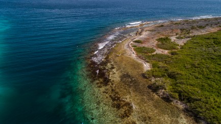 Shore line