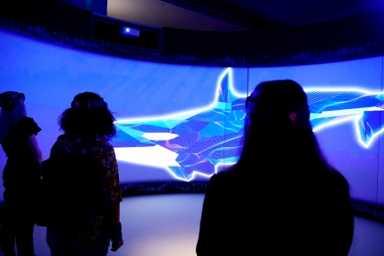 People watch video screen displaying an orca illustration