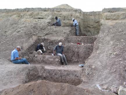 Excavation site