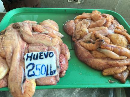 Fish ovaries for sale