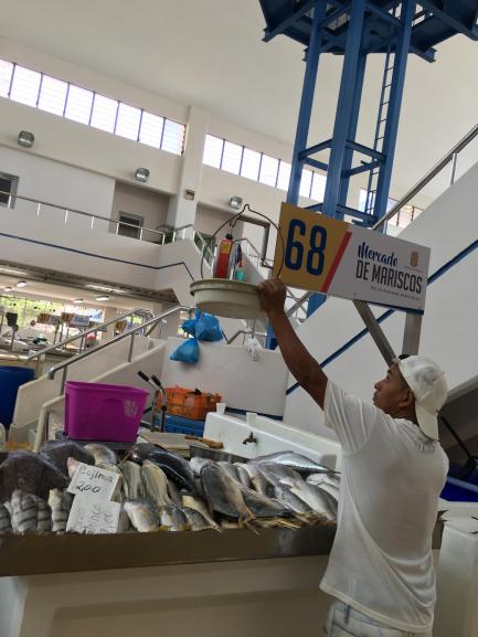 Man hangs sign in fish market